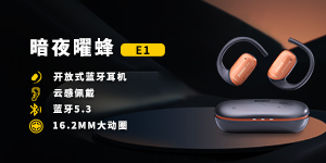 E1
